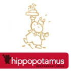 Hippopotamus Nmes